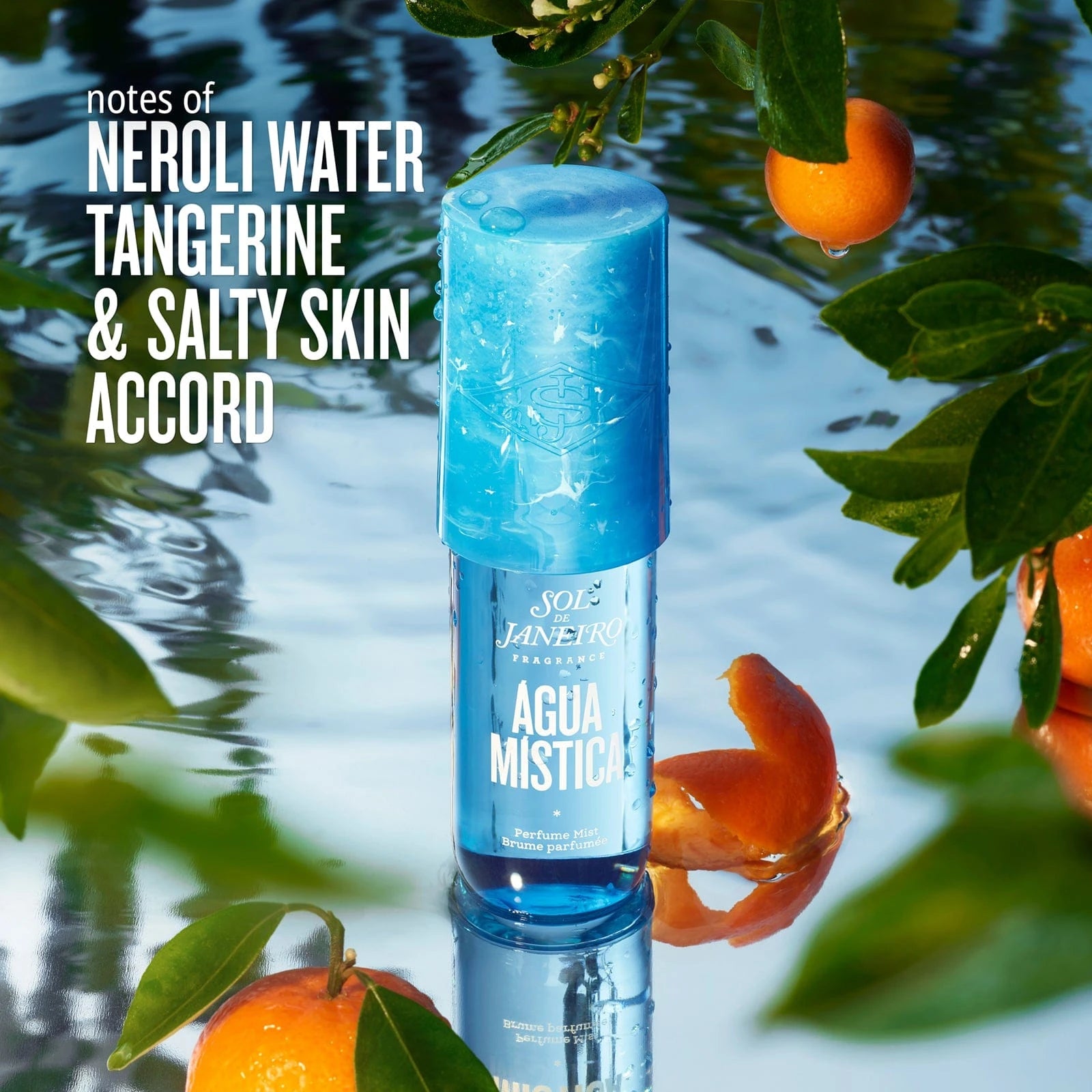 AGUA_4-SCENT_DTC.jpg