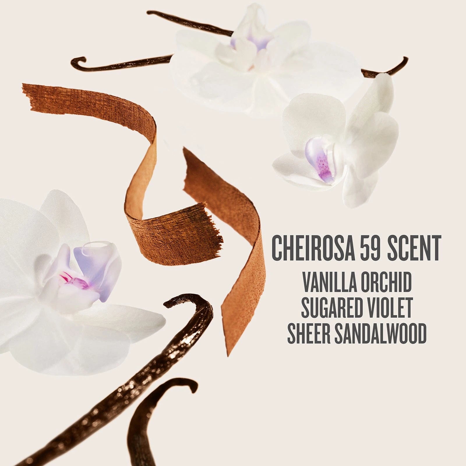 FY25_DDJetSet_PPage_8_Scent.jpg