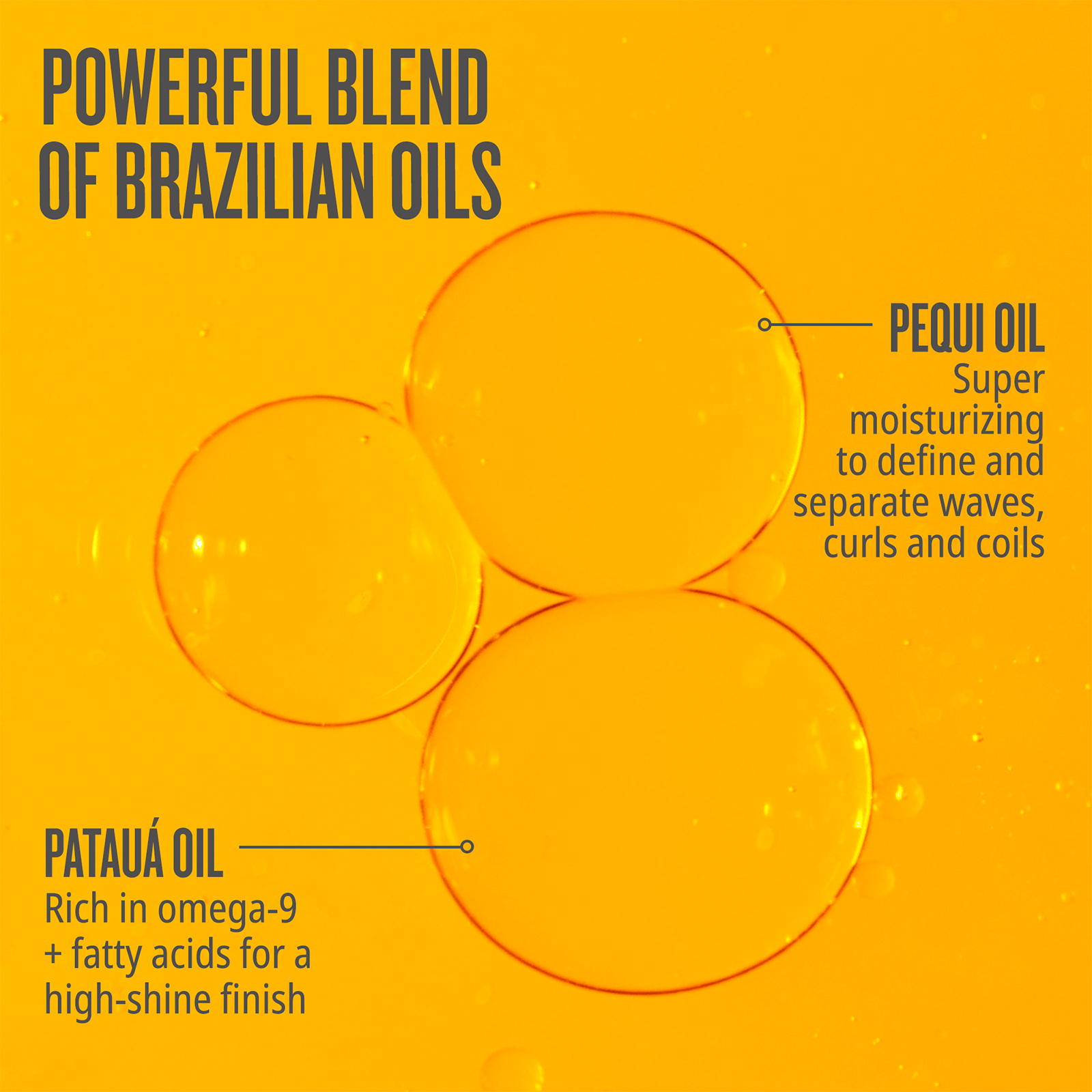 SDJ_BrazilianGlossy-NourishingHairOil_P-Page_ADA_2-1.png